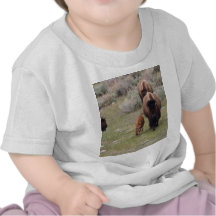 Bisons and Calf Tee Shirt