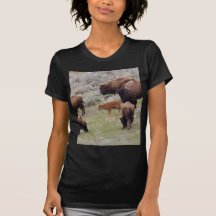 Bisons and Calf Tee Shirts
