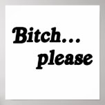Bitch please .png poster