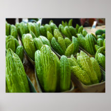 Bitter Melon Cucumber City Market Kansas City Print