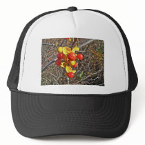 Bittersweet Vine Berries Items Hats