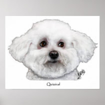 Bizou the Quizzical Bichon Frise Poster
