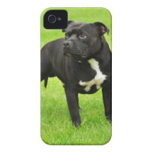 Black Amstaff Case-Mate iPhone 4 Case