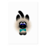 Black And Brown Cat With Teal Tie