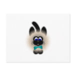 Black And Brown Cat With Teal Tie