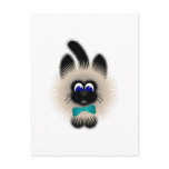 Black And Brown Cat With Teal Tie