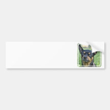 Black and Brown Chihuahua Bumper Stickers