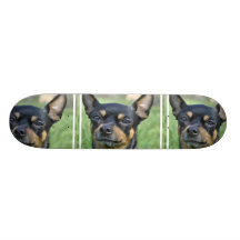 Black and Brown Chihuahua  Skateboard