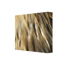 black and gold feathers gallery wrapped canvas