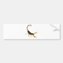 Black and Gold Scorpion Bumper Stickers