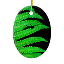 Black and Green Fern Ornaments