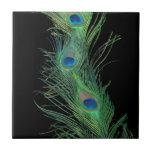 Black and Green Peacock Feathers Tile