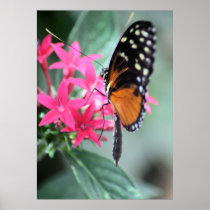 Black and Orange Butterfly Print