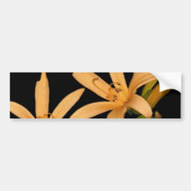 Black and Orange Lilly Bumper Stickers