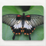 Black and Pink Swallowtail Butterfly Mouse Pad