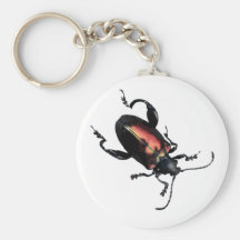 Black and Red Beetle bug Keychain