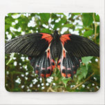 Black and Red Butterfly Mousemat