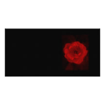 Black and Red Rose. Custom Photo Card