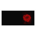 Black and Red Rose. Custom Rack Card