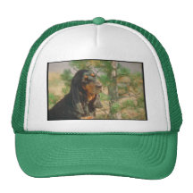 Black and Tan Coonhound Hat