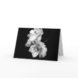 Black and White Alstroemeria Lily Greeting Card