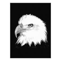 Black And White Bald Eagle Custom Invites
