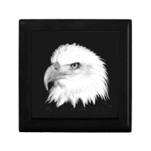 Black And White Bald Eagle Gift Box