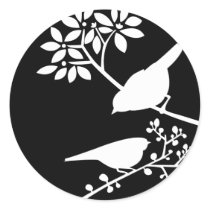 Black and White Birds