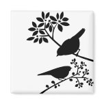 Black and White Birds magnets