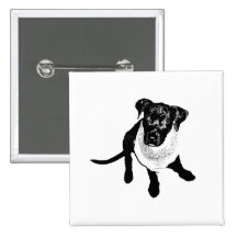Black and White Black Lab Puppy image Pinback Buttons