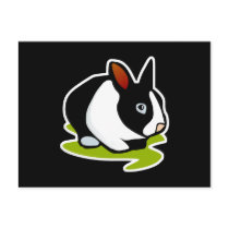 black and white bunny rabbit post card