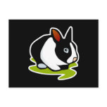 black and white bunny rabbit postcards