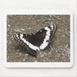 black and white butterfly mouse pads