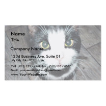 Black And White Cat Business Card Template