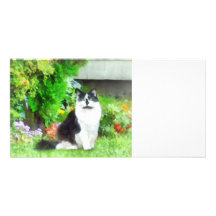 Black and White Cat by Flowers Photo Card Template