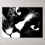 Black and white cat face close up poster