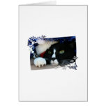 Black and white cat , santa hat, tinsel and a paw cards