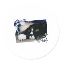 Black and white cat , santa hat, tinsel and a paw round sticker