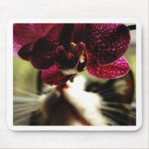 Black and White Cat with Orchids Mouse Pad