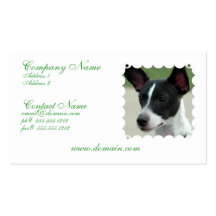 Black and White Chihuahua Dog Business Card