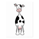 Black and White Cow Cartoon. Front. Postcard