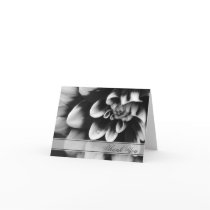 Black and White Dahlia Thank You Note Card