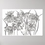 Black and White Daisy Flower Garden Drawing