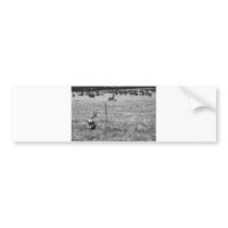 black and white deer bumper sticker