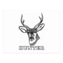 Black and White Deer Post Card
