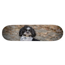 Black and white dog skate board deck