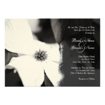 Black and White Dogwood Wedding Invitation