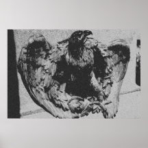 Black And White Eagle Poster