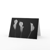 Black and White Flowers Cards