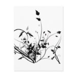 Black And White Flowers Postcard
